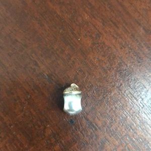 Acorn pandora charm